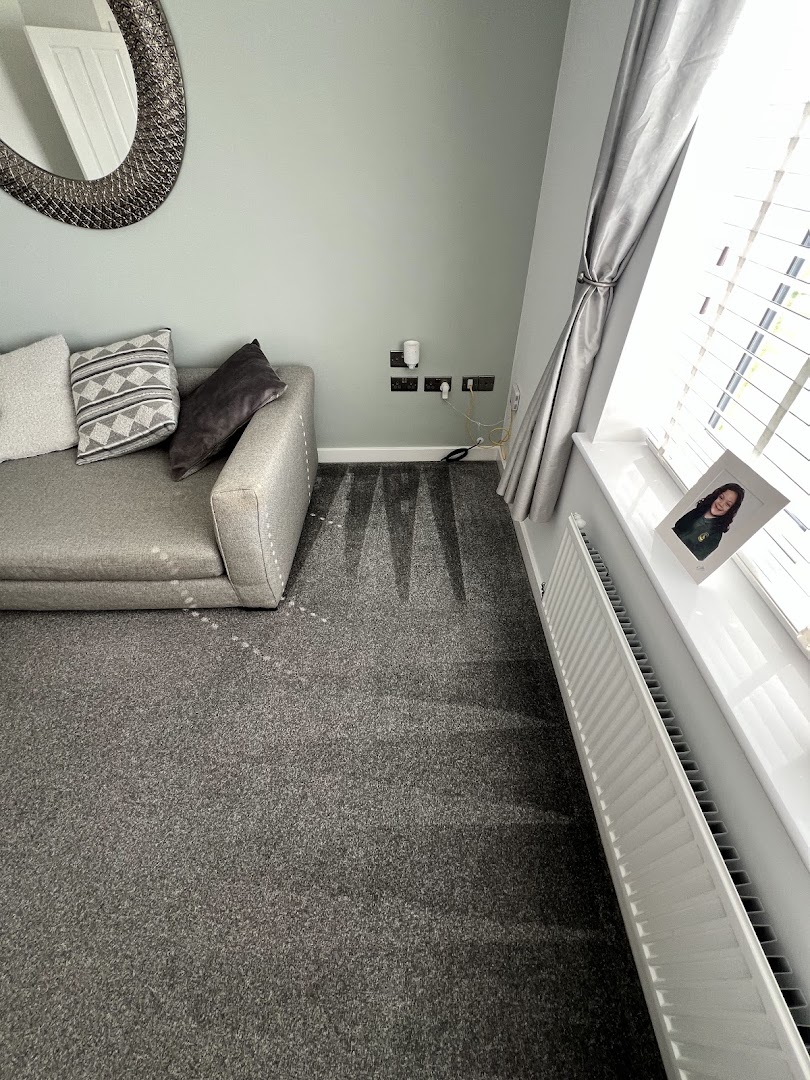 Daniel james, Painting, Decorating and property Maintenance — Photos 3